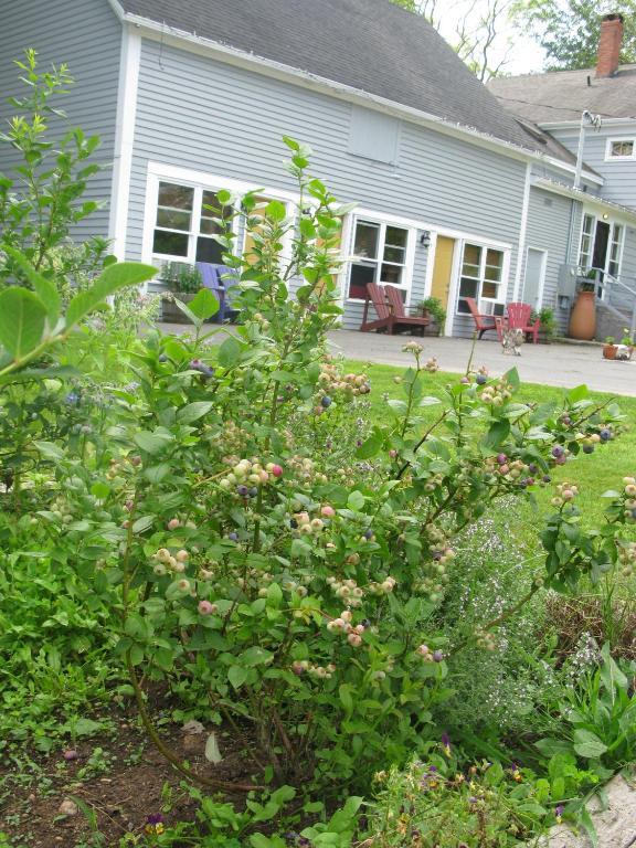 Dragonfly Inn Annapolis Royal Dış mekan fotoğraf